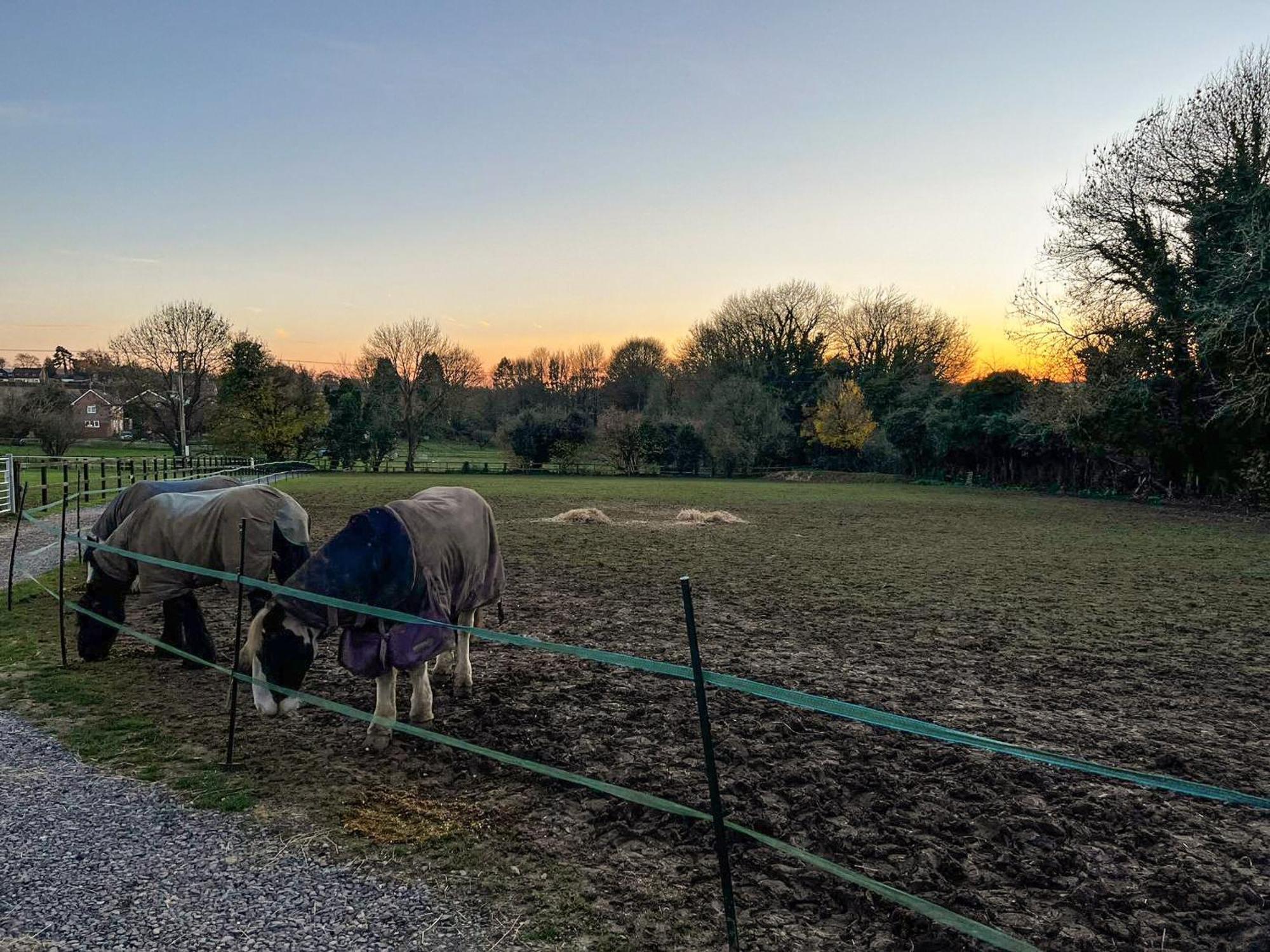 South Downs Lodge Droxford Esterno foto